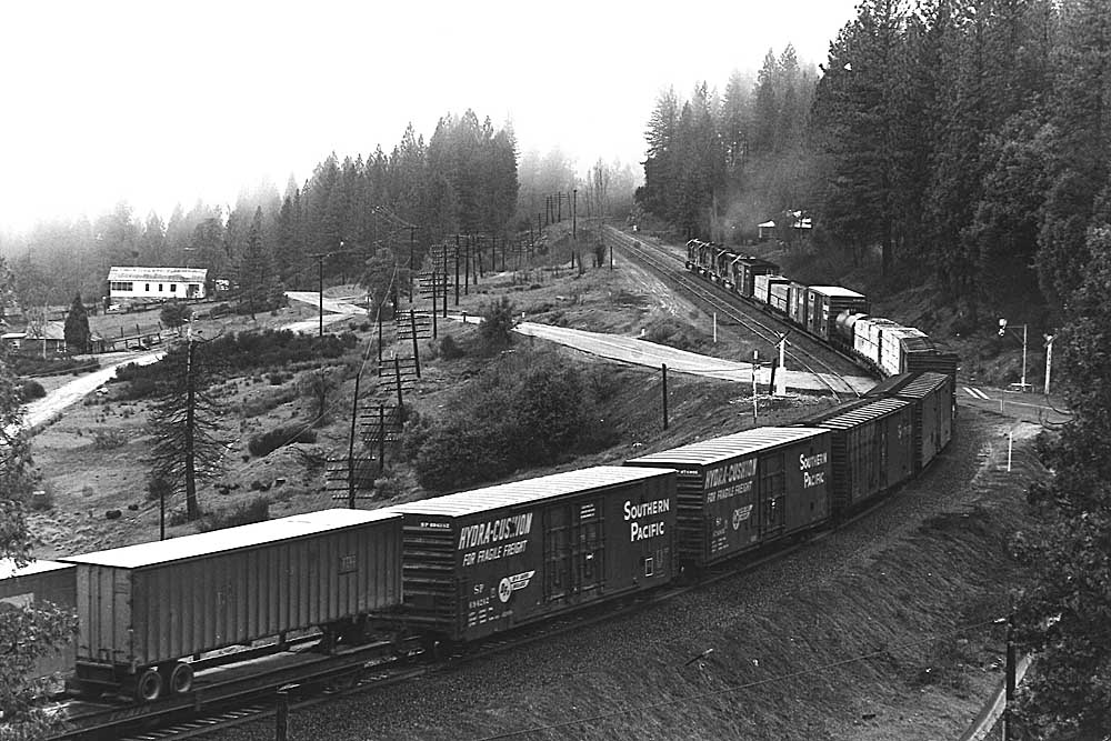 Train navigates curve and crosses road away from camera
