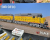 Sales board showing ScaleTrains.com yellow and gray Union Pacific GP30 and GP30B.