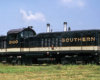 Oddball diesel locomotives: black switcher with white and gold stripe resting on grassy, overgrown tracks