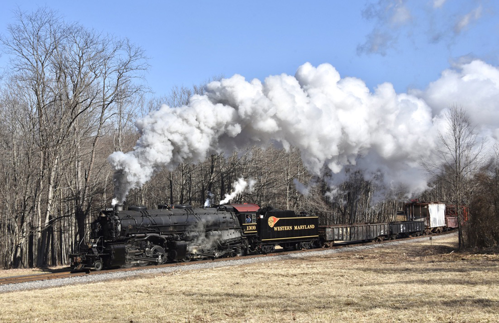 Steam locomotive pulling freight cars passes field with trees in background
