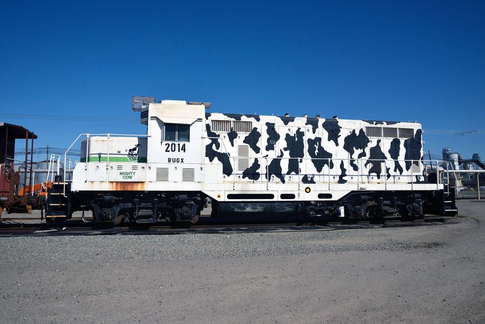Ten unusual locomotive paint schemes: white locomotive with black cowprint 