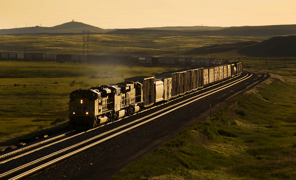 Freight train in golden-hour lighting