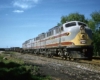 Streamline diesel locomotives with freight train among green grass and trees