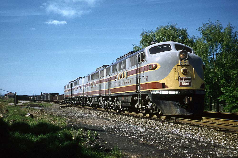 Streamline diesel locomotives with freight train among green grass and trees