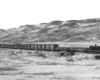 Black and white stripped locomotive at the head of a long freight train in an arid landscape.