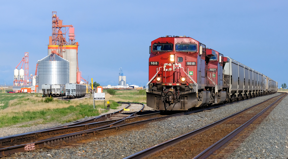Train of hopper cars with grain elevator in background