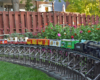 Model steam train on wood trestle with zinnias in background