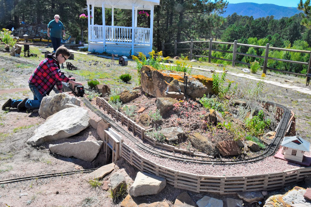 2022 National Garden Railway Convention preview Trains