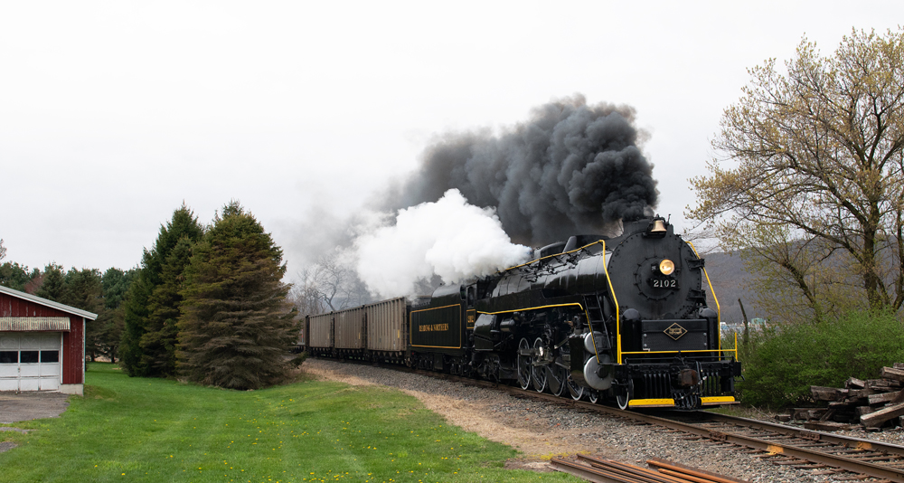 Steam locomotive passes grassy area