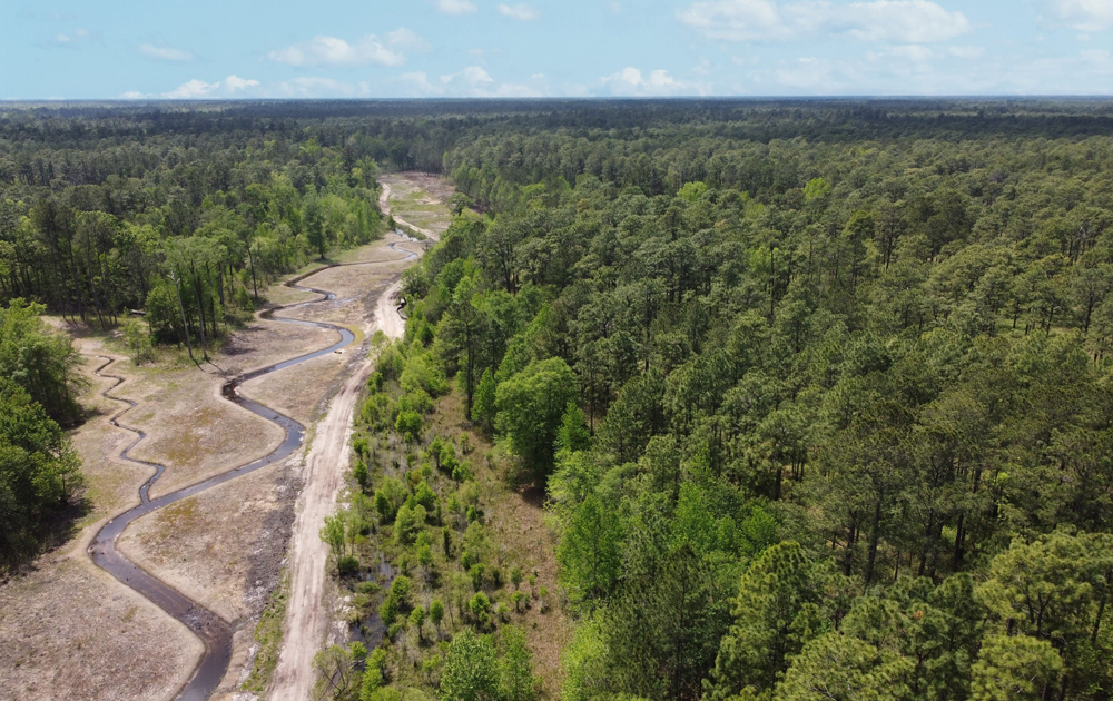 Aerial view of land covered with trees