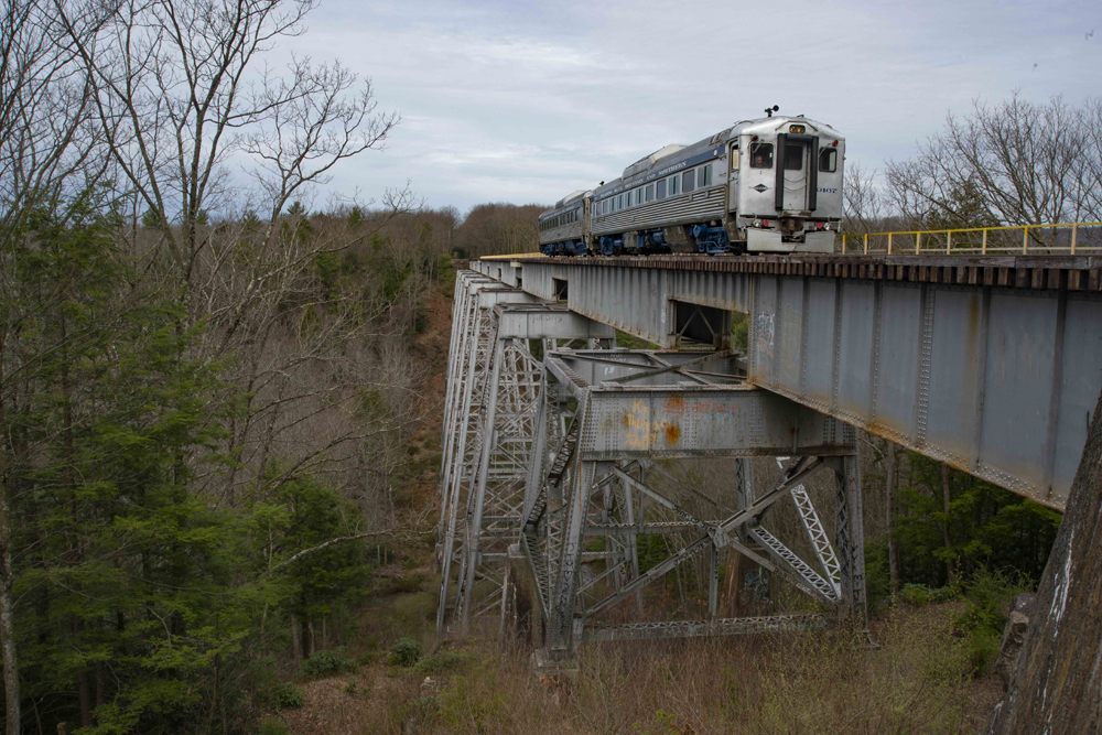 RDC cars on large steel bridge