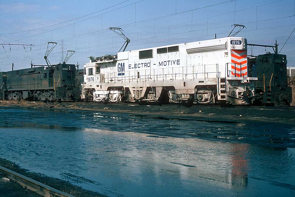 Wearing white one of two EMD freight electric locomotives rests among black brethren in the yard.