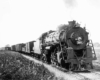 Steam locomotive leads a Frisco freight train on a curve