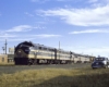 Black and yellow diesel locomotives on freight train