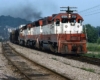 Three red and white diesel locomotives on a Frisco freight train with automobile loads