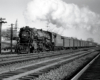 Steam locomotive with white plume hauling a long passenger train
