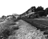 Low-angle image of a black diesel locomotive leading a freight train on a curve.