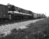 Diesel locomotive in the middle of a freight train.