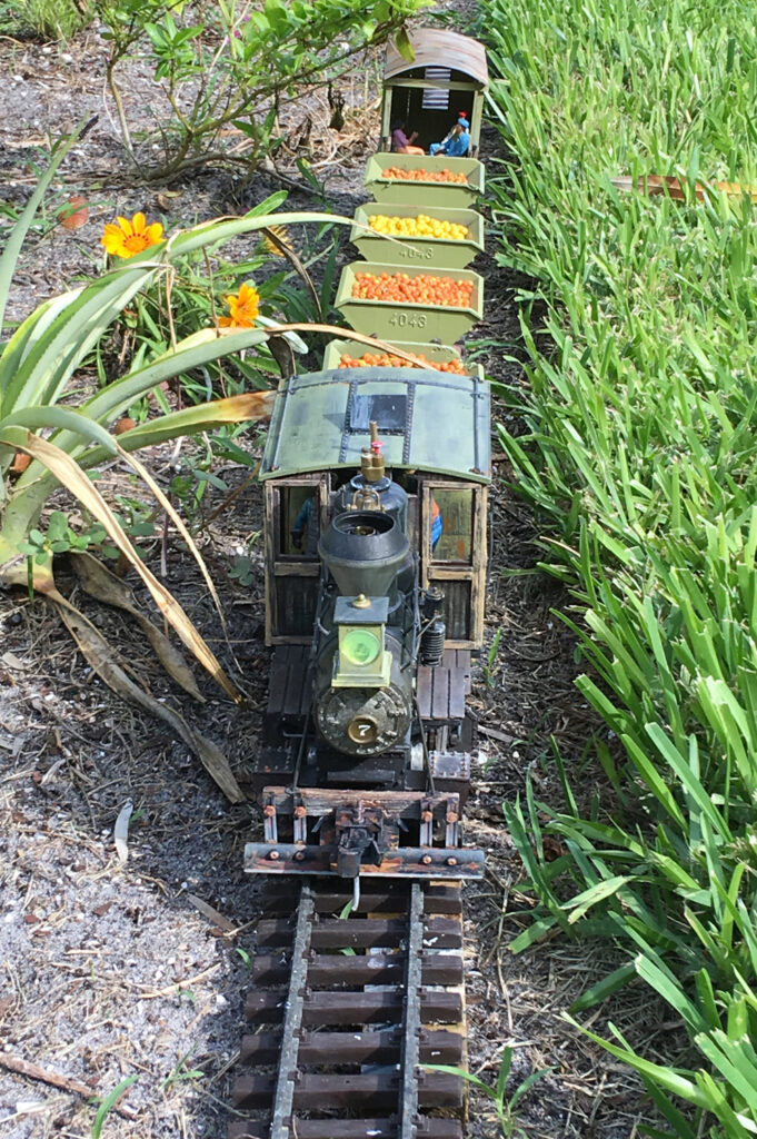 A citrus train for the garden railroad