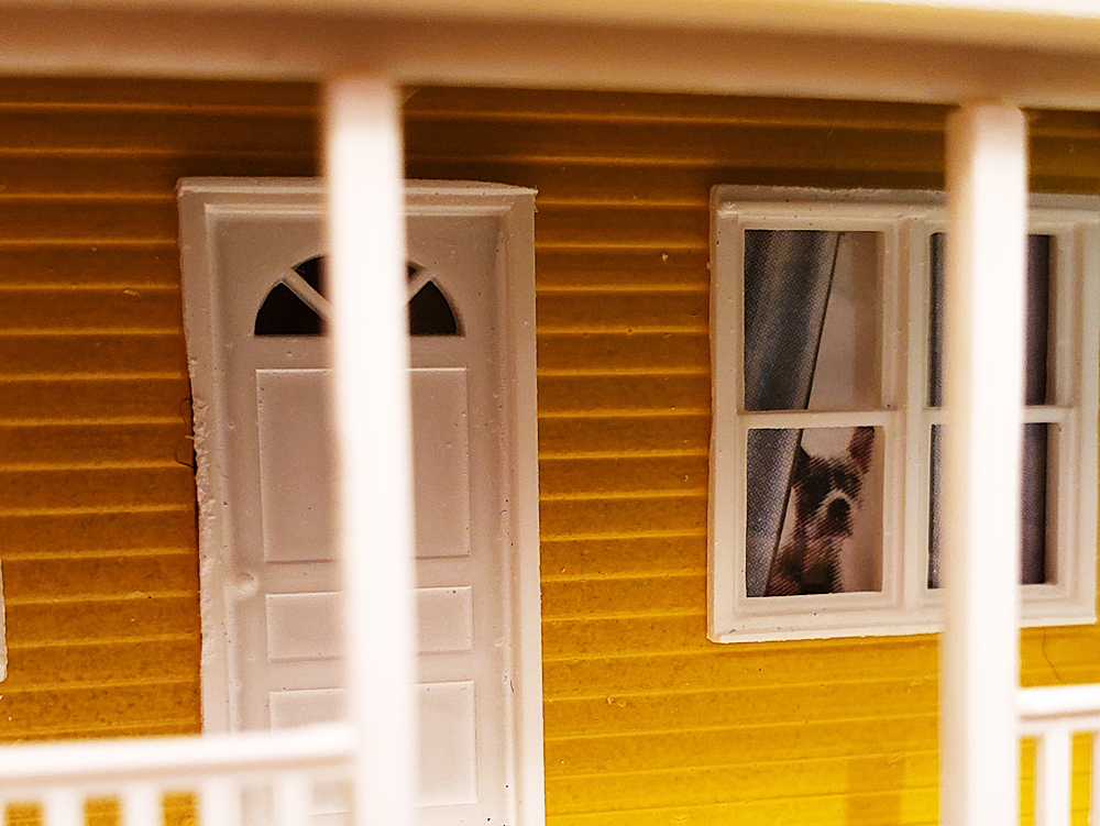 image of dog looking out a window