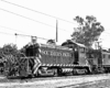 EMD diesel locomotive with trolley pole.