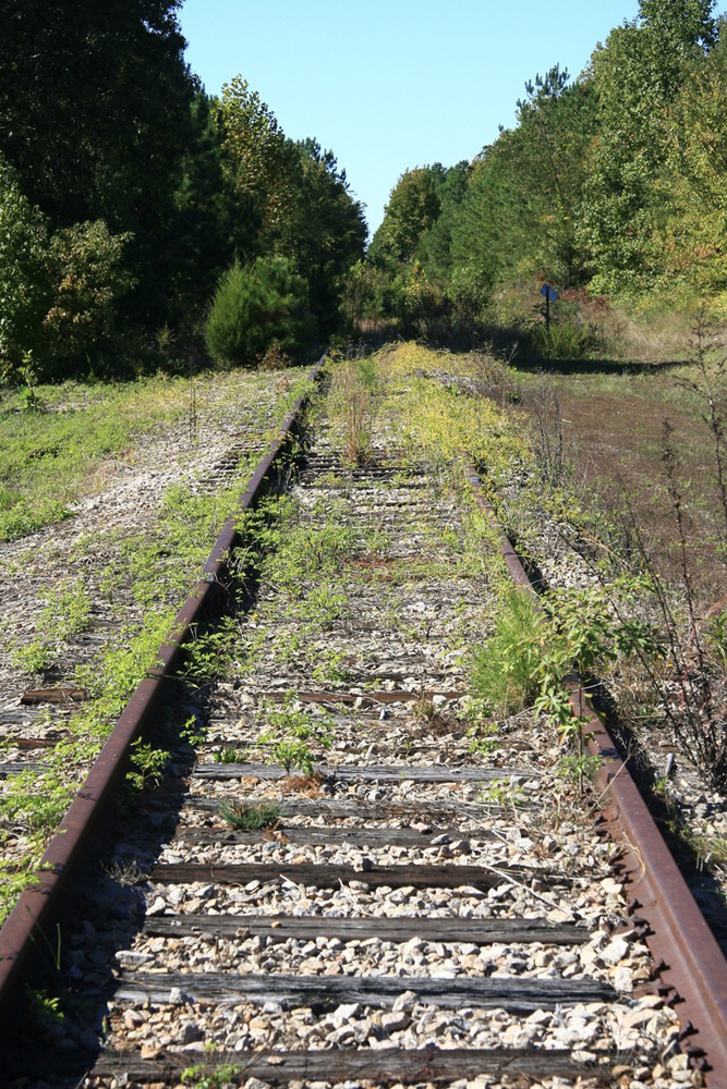 Weed-covered railroad track with rusted rails leading into woods