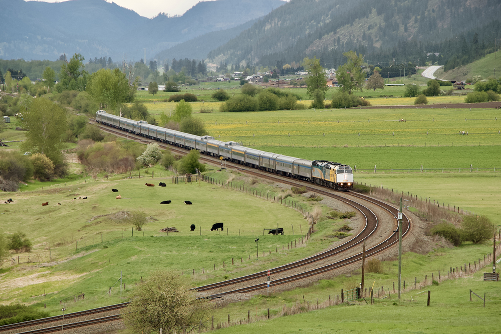 Long passenger train approaches curve in green field