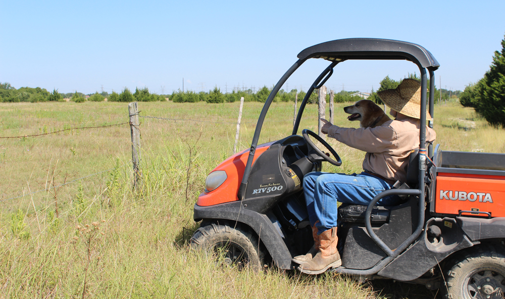Man in small tractor looks at rangeland