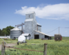 Grain elevator, bins, and corn crib