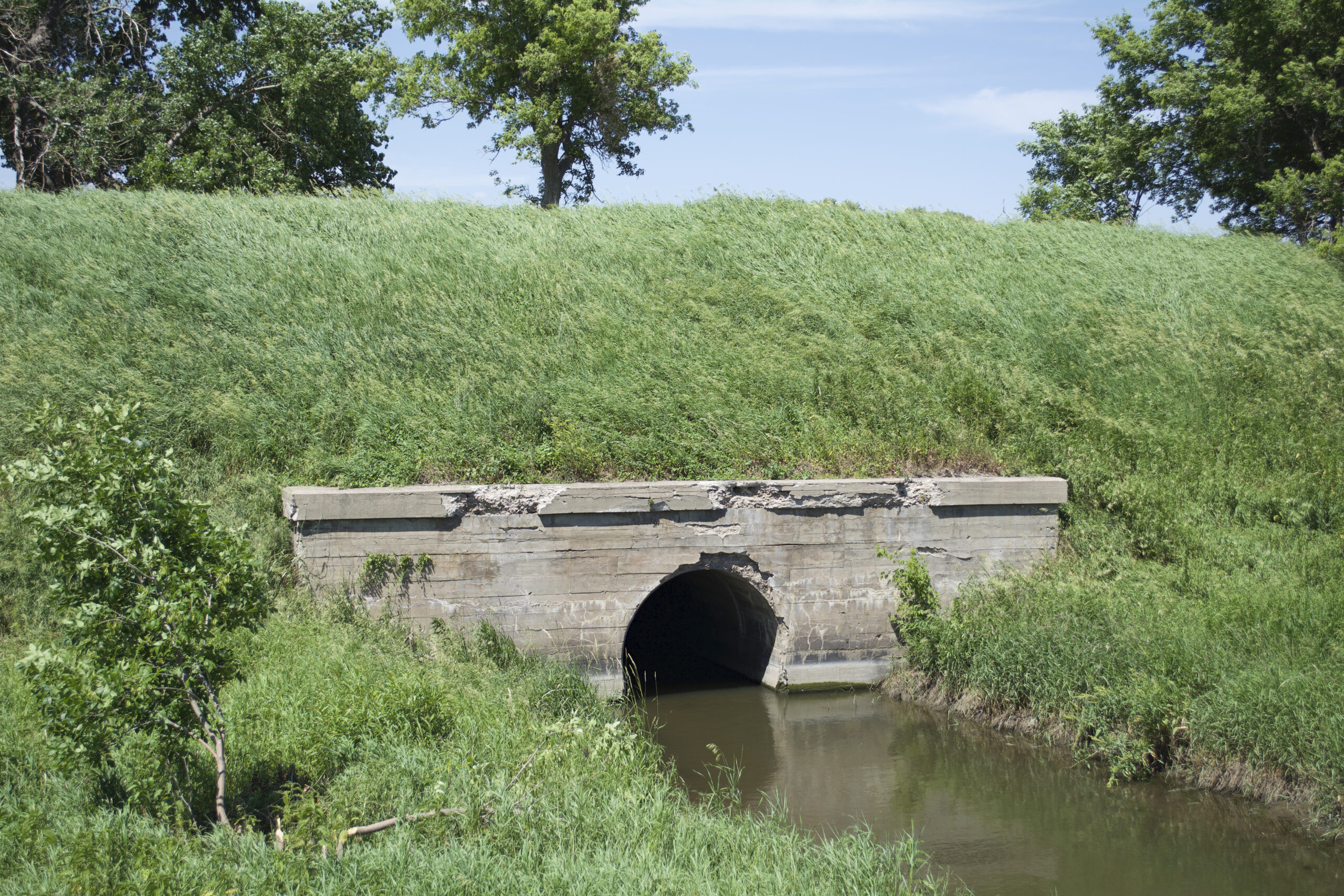 Concrete culvert with water and grass