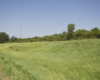 Grassy area with trees and antenna in background