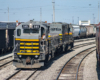 Three locomotives moving in a rail yard among a sea of freight cars.