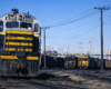 Close nose-on image of a black, yellow, and gray diesel locomotive in a rail yard.