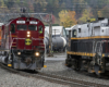 Two trains pass each other on a curve with autumn foliage in the background.