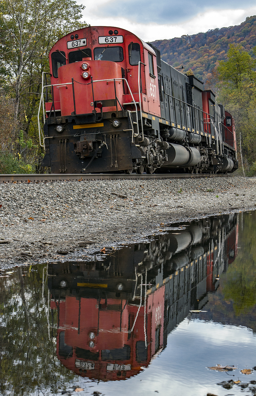 Locomotive and reflection in a puddle of water.
