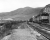 Diesel locomotives with freight train along river