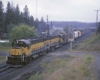 Diesel locomotives with freight train among trees