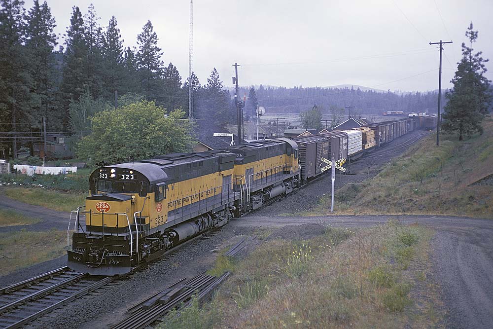 Diesel locomotives with freight train among trees