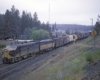 Diesel locomotives with freight train among trees