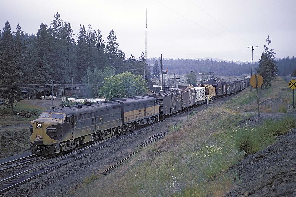 Diesel locomotives with freight train among trees