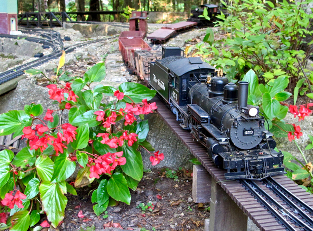 Model train and flowers in a garden railroad