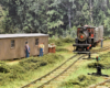 A narrow gauge geared steam locomotive heads toward the viewer through a logging camp with a pulpwood car in tow