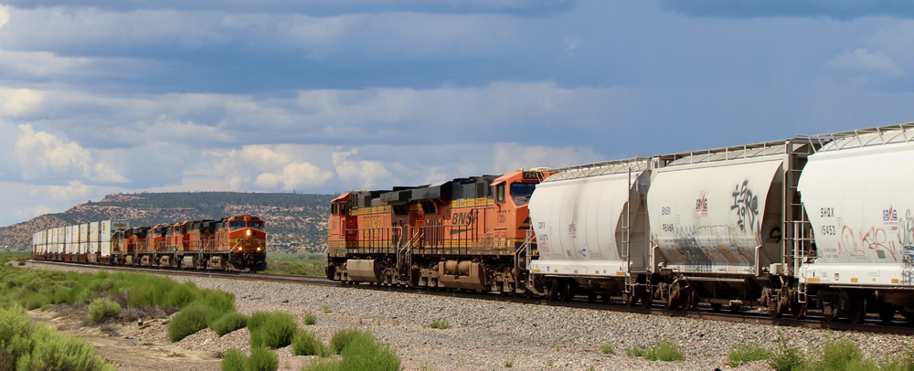 Freight trains meet under cloudy skies