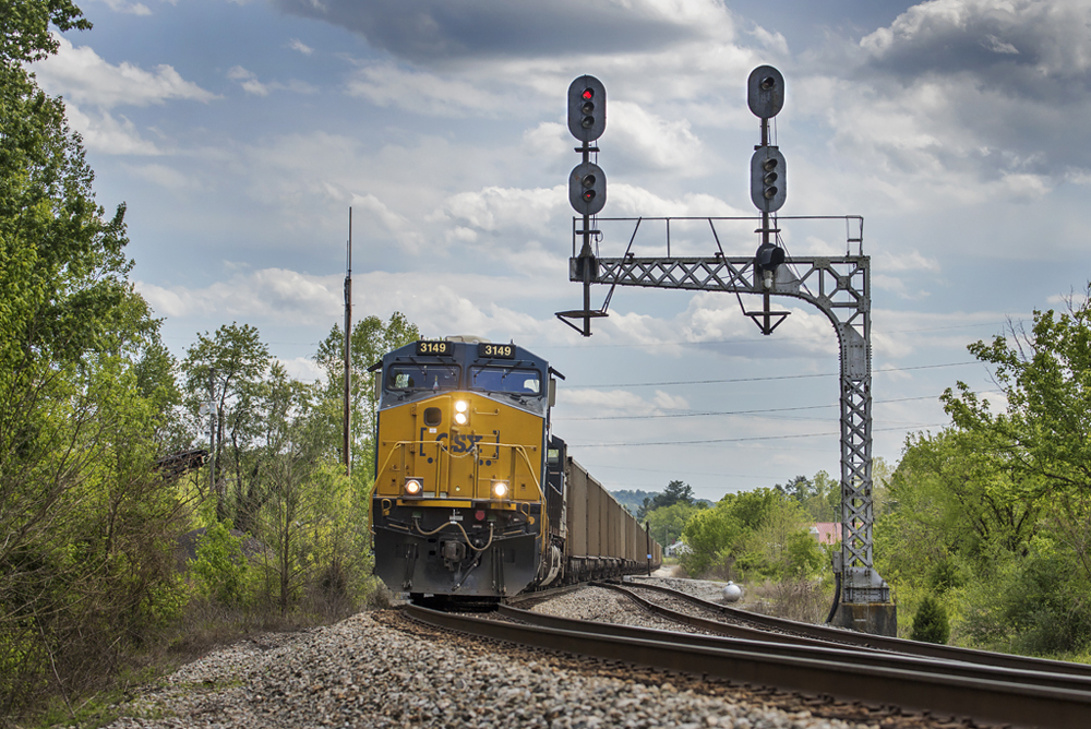 Blue and yellow locomotive and train of hopper cars passes under signal bridge