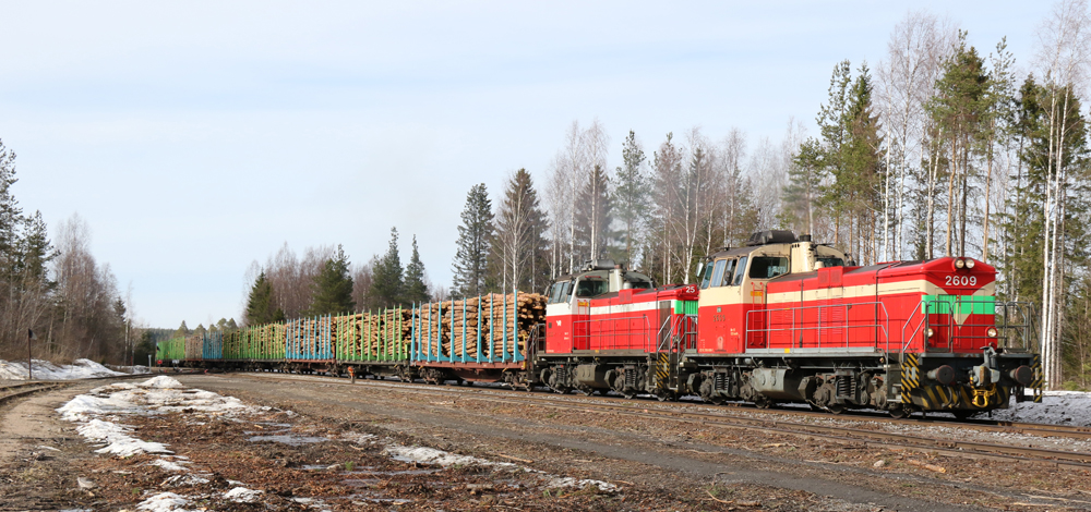 Red diesel locomotives on railline in forest