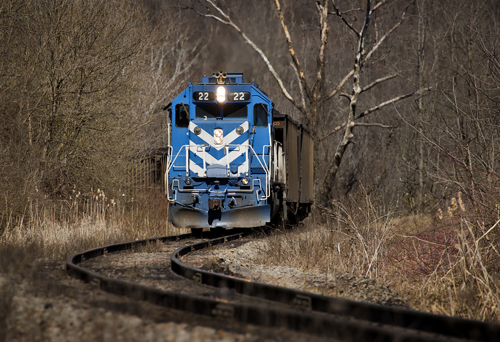 Blue locomotive with white nose stripes pulling hopper cars through woods