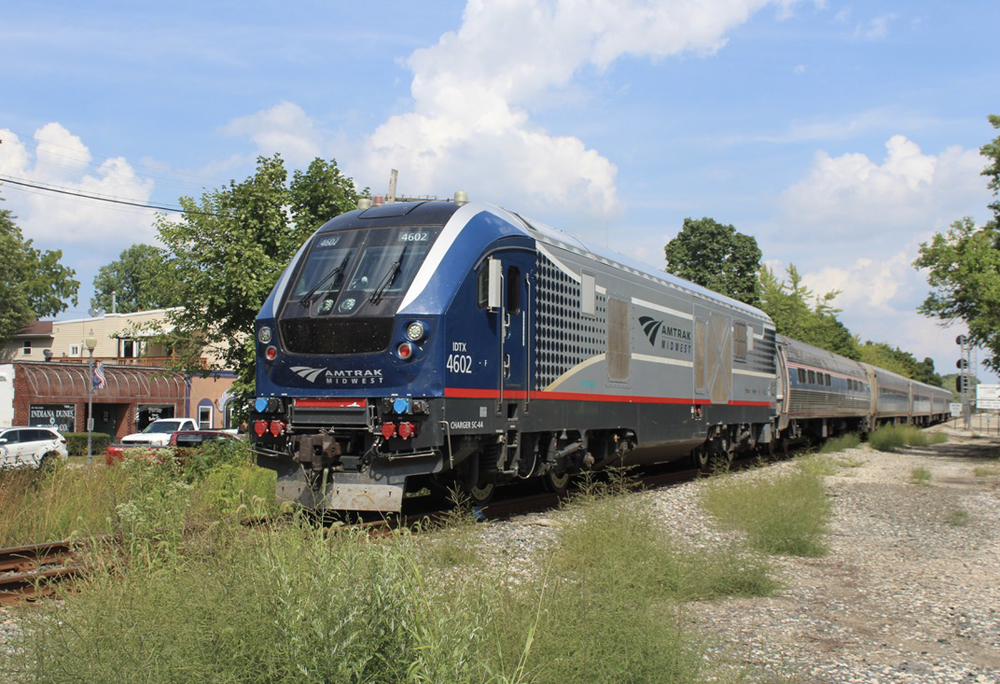 Passenger train along track lined by weeds