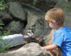 Boy watches model train on a garden railroad