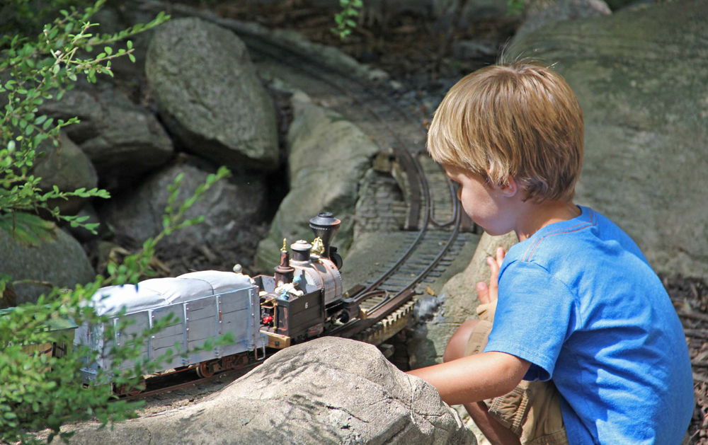 Boy watches model train on a garden railroad