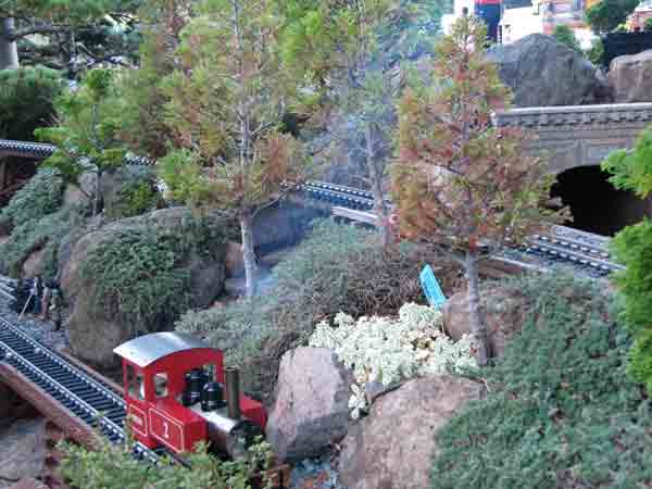 two trees on a garden railroad
